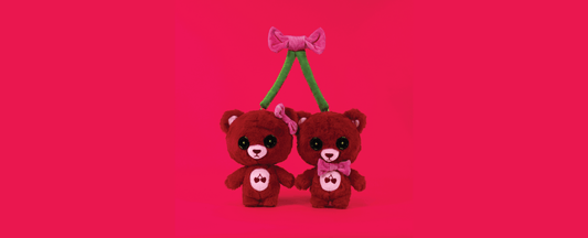 Couples Valentines Teddy Bear Idea